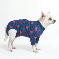 Dog Surgical Suit - Hearts