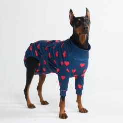 Dog Surgical Suit - Hearts