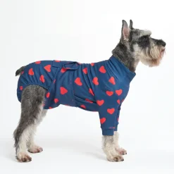 Dog Surgical Suit - Hearts