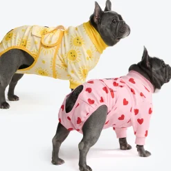 Dog Surgical Suit 2-pack