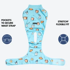 Dog Surgical Suit 2-pack