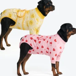 Dog Surgical Suit 2-pack