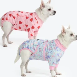 Dog Surgical Suit 2-pack