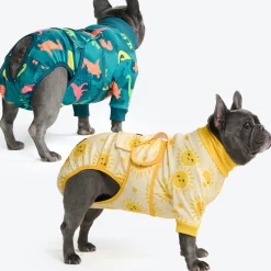 Dog Surgical Suit 2-pack