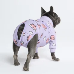 Dog Surgical Suit 2-pack