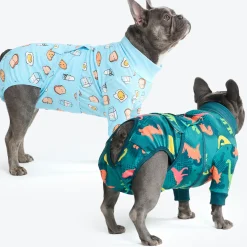 Dog Surgical Suit 2-pack