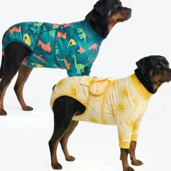 Dog Surgical Suit 2-pack
