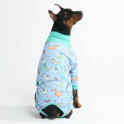 Dog Surgical Suit 2-pack