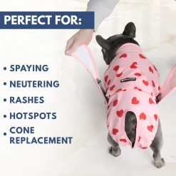 Dog Surgical Suit 2-pack