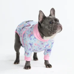 Dog Surgical Suit 2-pack