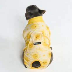 Dog Surgical Suit 2-pack