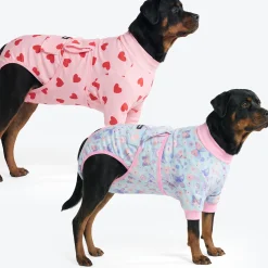 Dog Surgical Suit 2-pack