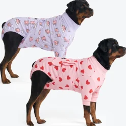 Dog Surgical Suit 2-pack
