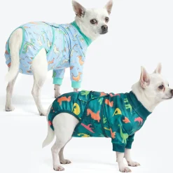 Dog Surgical Suit 2-pack