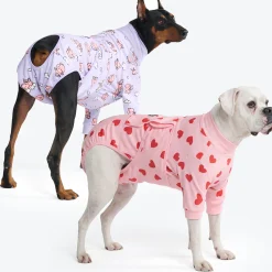 Dog Surgical Suit 2-pack