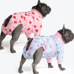 Dog Surgical Suit 2-pack