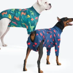 Dog Surgical Suit 2-pack