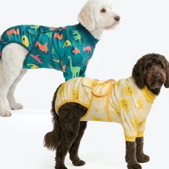 Dog Surgical Suit 2-pack