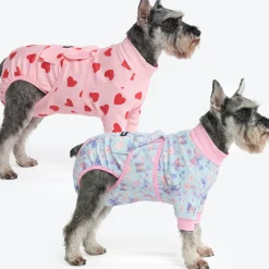 Dog Surgical Suit 2-pack
