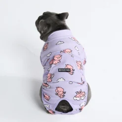 Dog Surgical Suit 2-pack