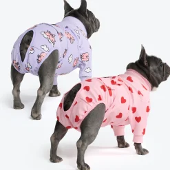 Dog Surgical Suit 2-pack