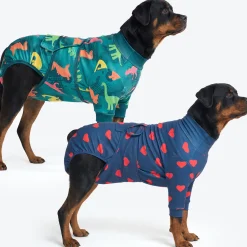 Dog Surgical Suit 2-pack