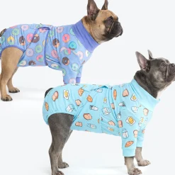 Dog Surgical Suit 2-pack