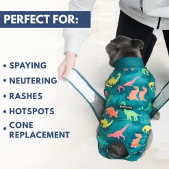 Dog Surgical Suit 2-pack