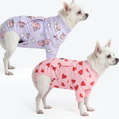 Dog Surgical Suit 2-pack