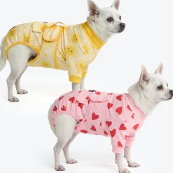 Dog Surgical Suit 2-pack