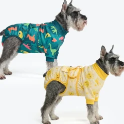 Dog Surgical Suit 2-pack