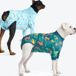 Dog Surgical Suit 2-pack