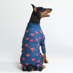 Dog Surgical Suit 2-pack