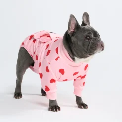 Dog Surgical Suit 2-pack