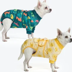 Dog Surgical Suit 2-pack