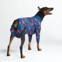 Dog Surgical Suit 2-pack
