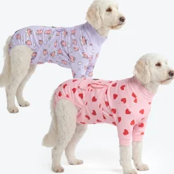 Dog Surgical Suit 2-pack