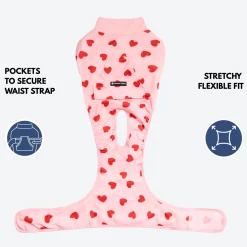 Dog Surgical Suit 2-pack