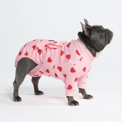 Dog Surgical Suit - Pink Hearts