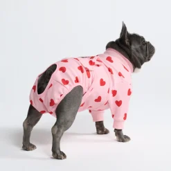 Dog Surgical Suit - Pink Hearts