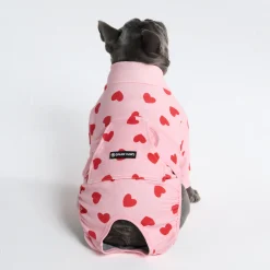 Dog Surgical Suit - Pink Hearts