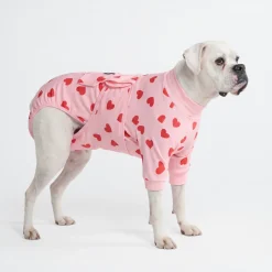 Dog Surgical Suit - Pink Hearts