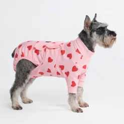 Dog Surgical Suit - Pink Hearts