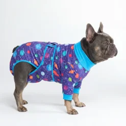 Dog Surgical Suit - Planets