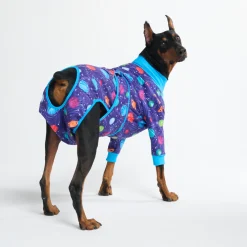Dog Surgical Suit - Planets