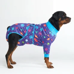 Dog Surgical Suit - Planets