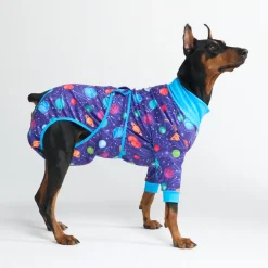 Dog Surgical Suit - Planets