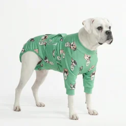 Dog Surgical Suit - Pup Cup