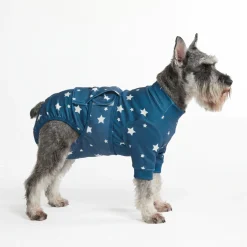 Dog Surgical Suit - Stars