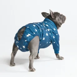 Dog Surgical Suit - Stars